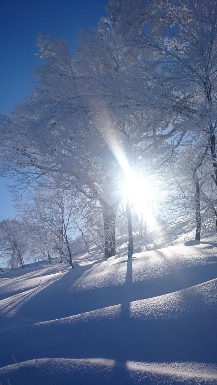 Nozawa Dream Central Extérieur photo