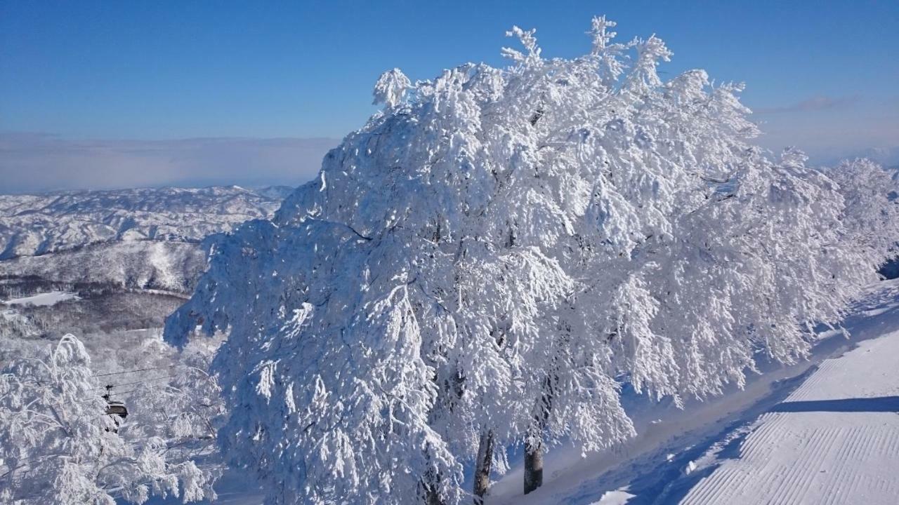 Nozawa Dream Central Extérieur photo
