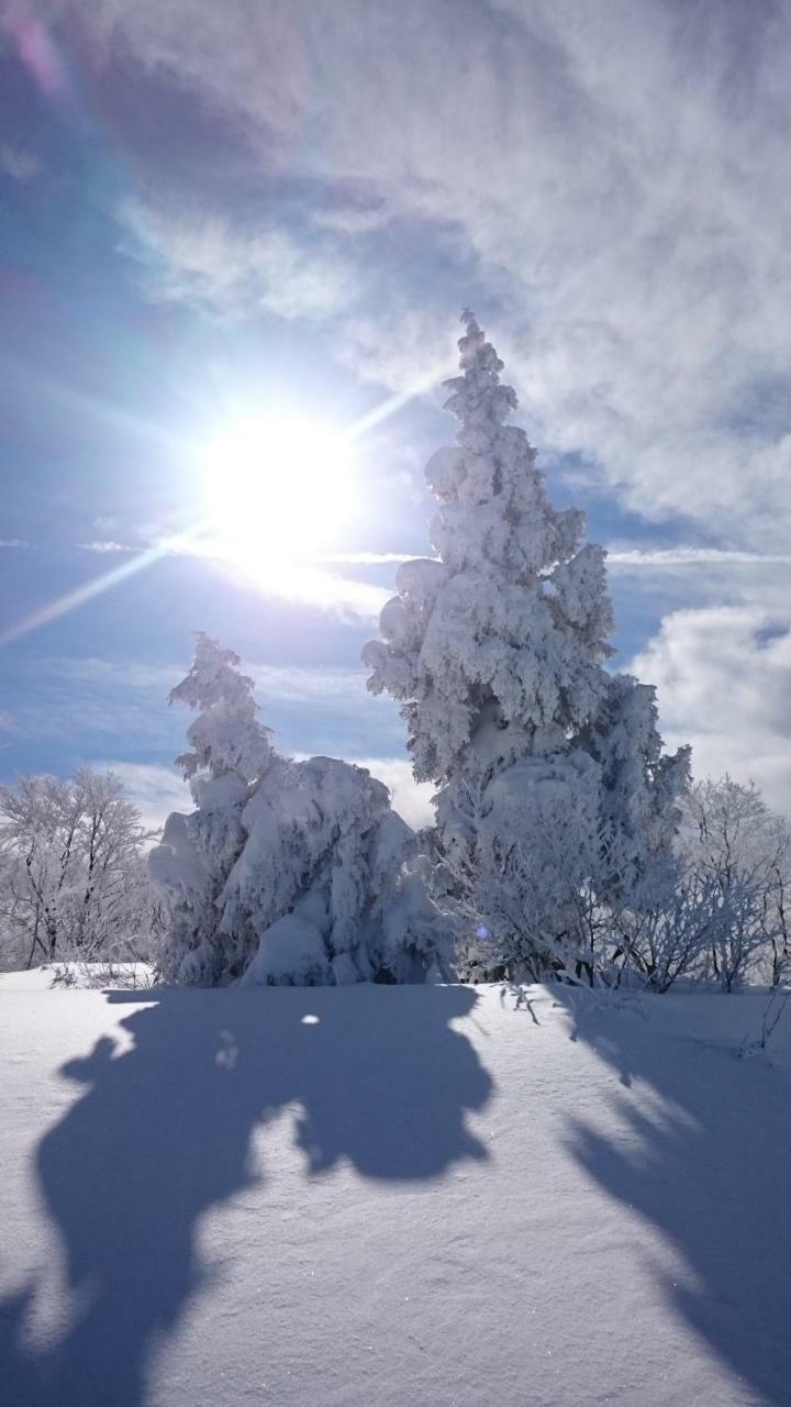 Nozawa Dream Central Extérieur photo